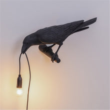 Görseli Galeri görüntüleyiciye yükleyin, Raven Plug
